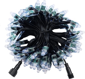 12V 5V WS2811 dijital IP68 Ray Wu Pigtail direnç Bullet piksel 12mm adresli dağınık RGB LED piksel ışık xConnect ile - Product Image 3
