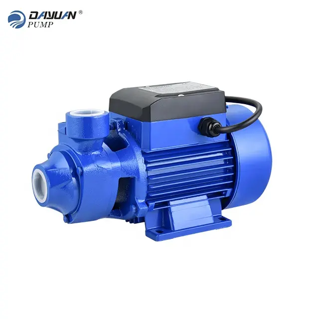 DAYUAN DKm60-1 220v/50hz yüzey su pompası elektrikli alçak basınç sulama mikro periferik pompa