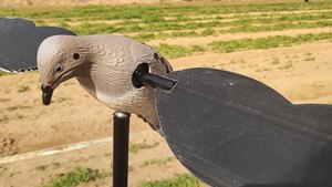 Lifelike Grey Pigeon Hunting Decoy Dove Decoy with Target Sticker for Effective <strong>Bird</strong> Hunting