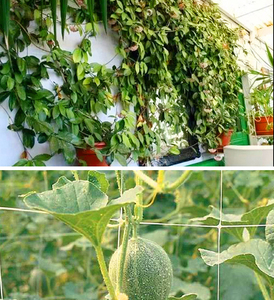 Rete di supporto per piante a traliccio da giardino verde per frutto della passione, uva, cetrioli e ortaggi rampicanti - Product Image 4