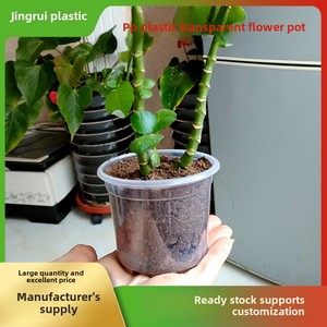 各种尺寸的透明塑料花盆一次性育苗盆-3.3 5 6 7英寸厂家批发