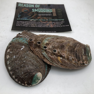 CELION Abalone kabuk temiz deniz kabukları çin'den doğal ev dekorasyon çevre dostu karton dini avrupa deniz kabuğu 20 adet - Product Image 2