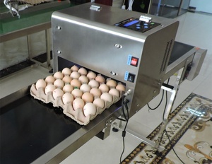 Advance 6 Reihen Ei Inkjet Datums codierer Maschine Ei Inkjet Druckmaschine in niedrigen Preis
