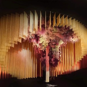 Sang Trọng Tùy Chỉnh Xách Tay Có Thể Gập Lại Tua Rìa Rèm Cửa Nội Thất Thiết Lập Đảng Nhiếp Ảnh Vòm Đám Cưới Backdrop Cho Đám Cưới Các Sự Kiện - Product Image 2