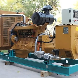 Sinh khối điện syngas Máy phát điện 30Kw 50kw để 2500 KVA Biogas genset khí đốt tự nhiên điện tuabin Máy phát điện đặt cho bán - Product Image 6