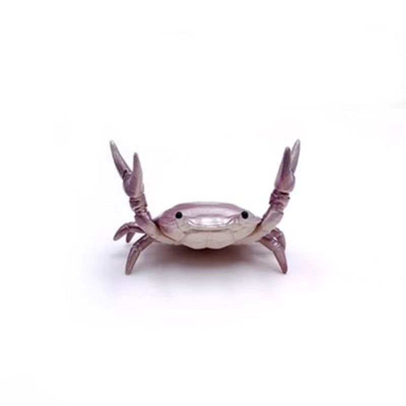 Pourpre
