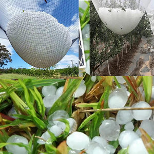 HDPE 50g agricultura red de plástico de exportación al mercado de Yemen red anti granizo - Product Image 2