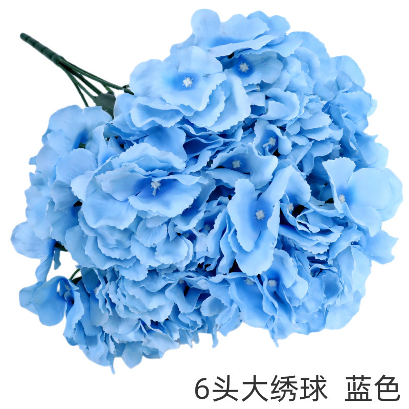 Grand hortensia bleu à 6 têtes