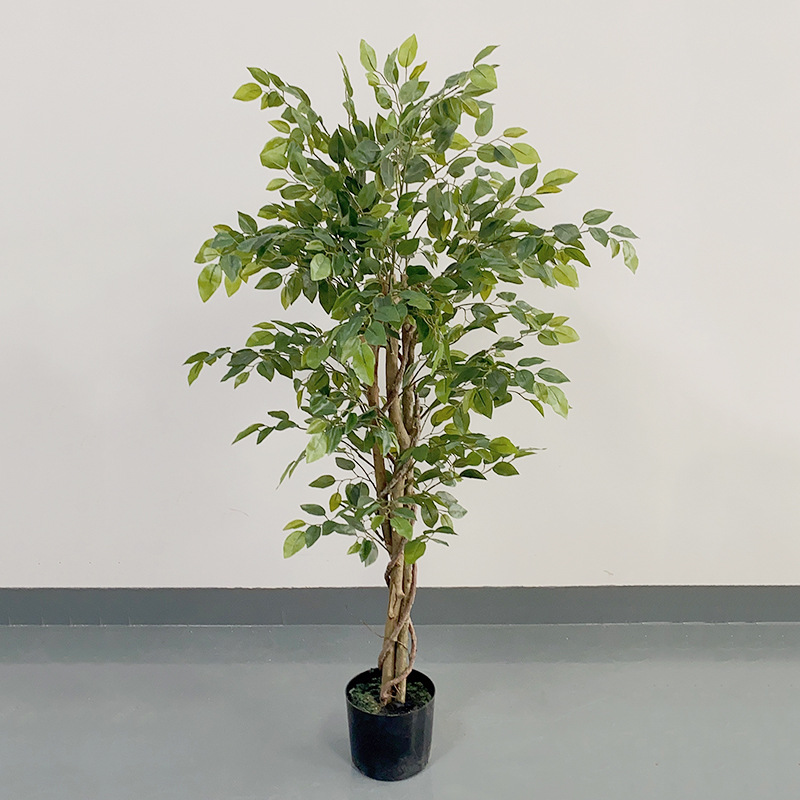 Banyan tree (feuilles de film)-140cm