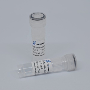 Tinzyme <strong>T4</strong> Polynucleotide Kinase Phosphorylation of the 5 'end of Primers or PCR Products for Linkage Reactions - Product Image 2