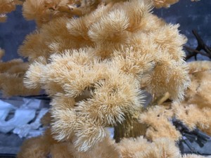 大きな木カラフルな松の木庭の屋外プロジェクト装飾フェイクプラント屋内グリーンビッグツリー