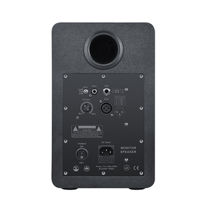 アナログ100W5インチウーファーベースXLRTRSホームスタジオラボプロフェッショナルパワードアクティブHi-Fi本棚モニタースピーカー - Product Image 4