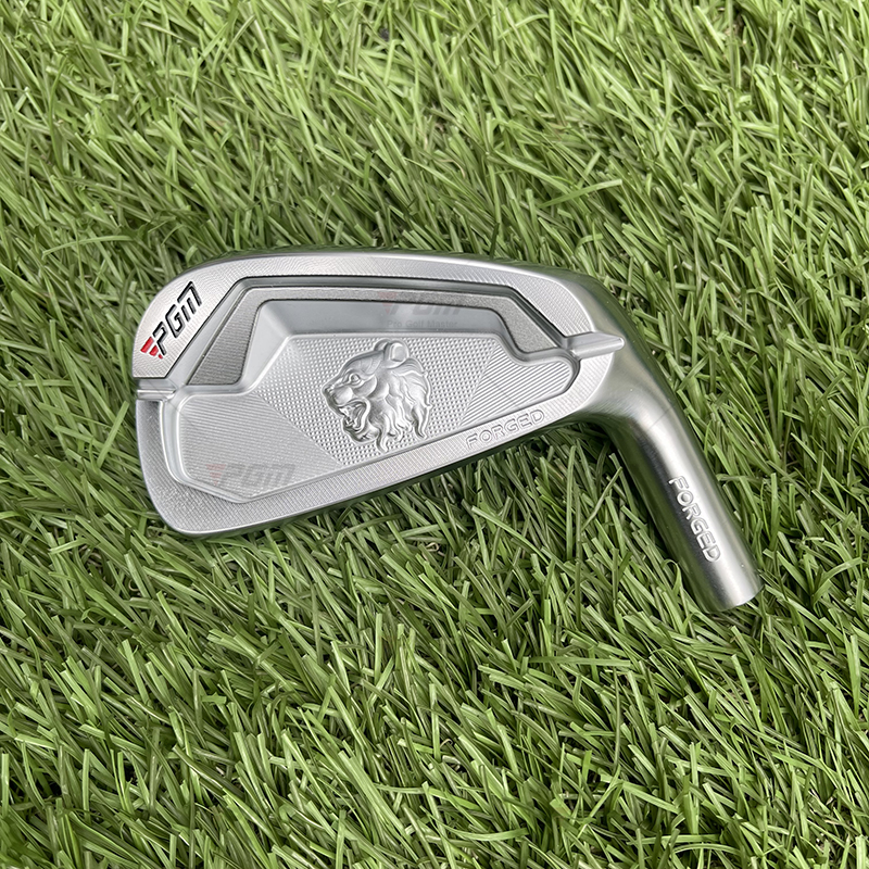 cabeza de hierro de golf 12