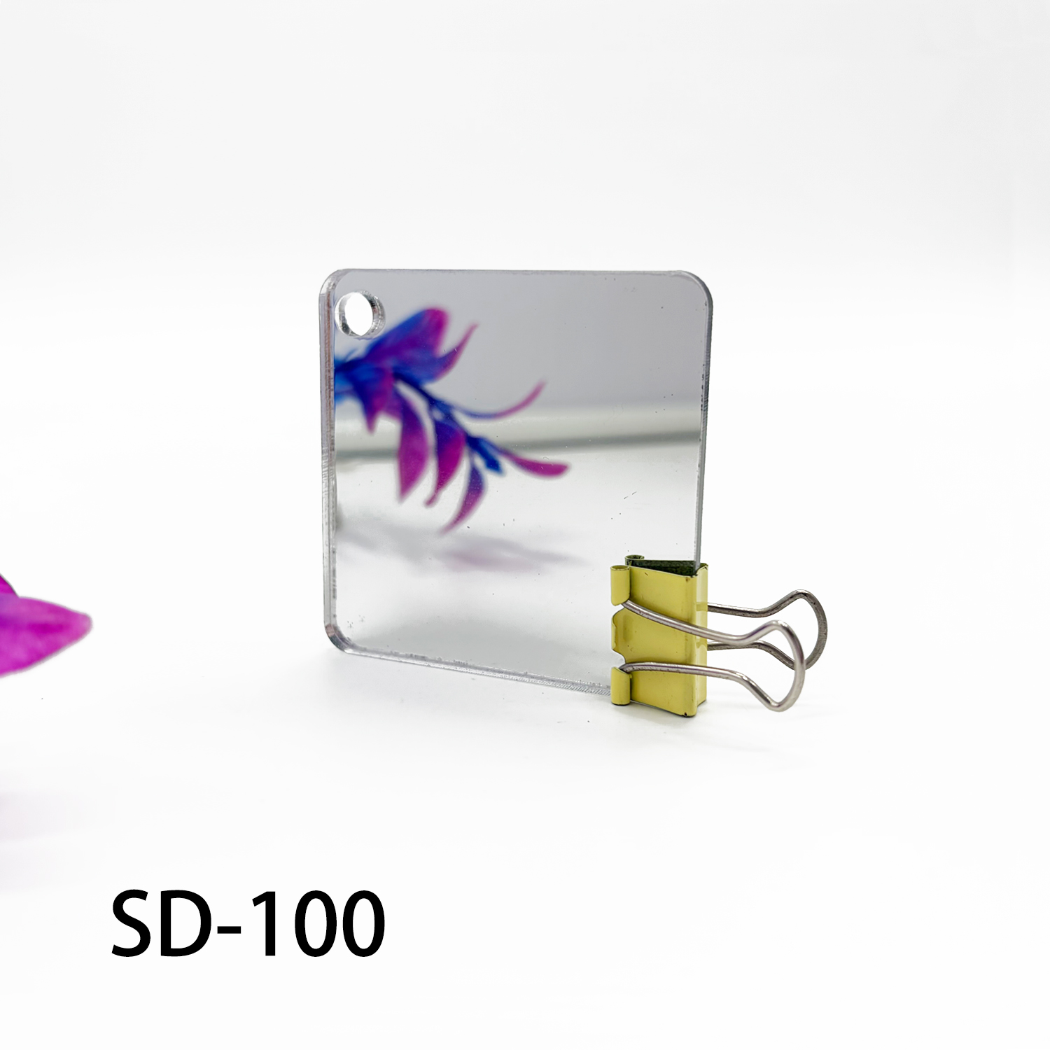 SD-100