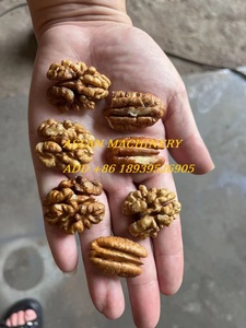 厂家不锈钢核桃山核桃脱壳机核桃削皮机脱壳机破碎机 - Product Image 2