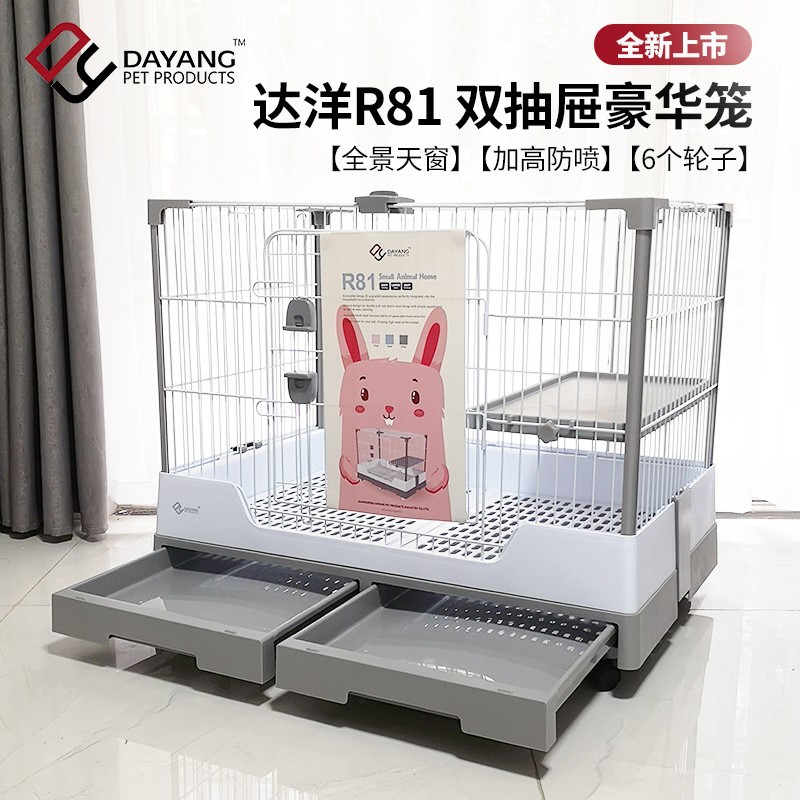 สีเทา R81 Dayang
