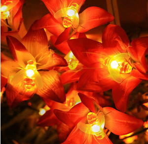 2023 Beliebte batterie betriebene LED Solar Lampe <span class=keywords><strong>String</strong></span> Fairy Honey Bee <span class=keywords><strong>Light</strong></span>
