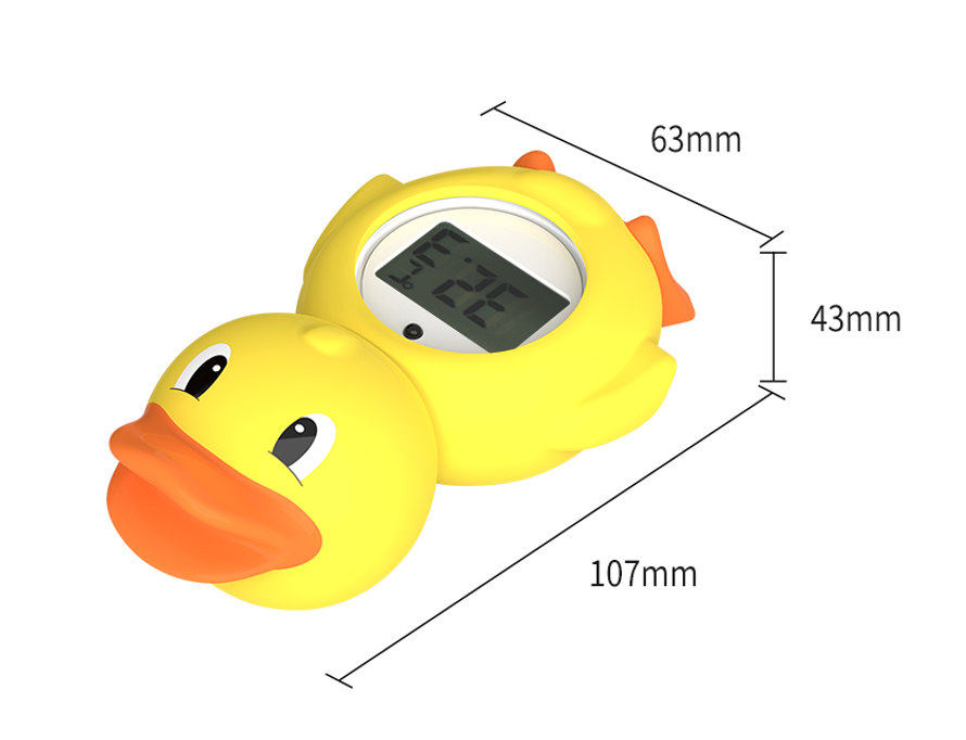 Canard