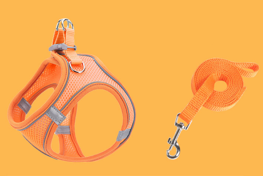 Conjunto Naranja