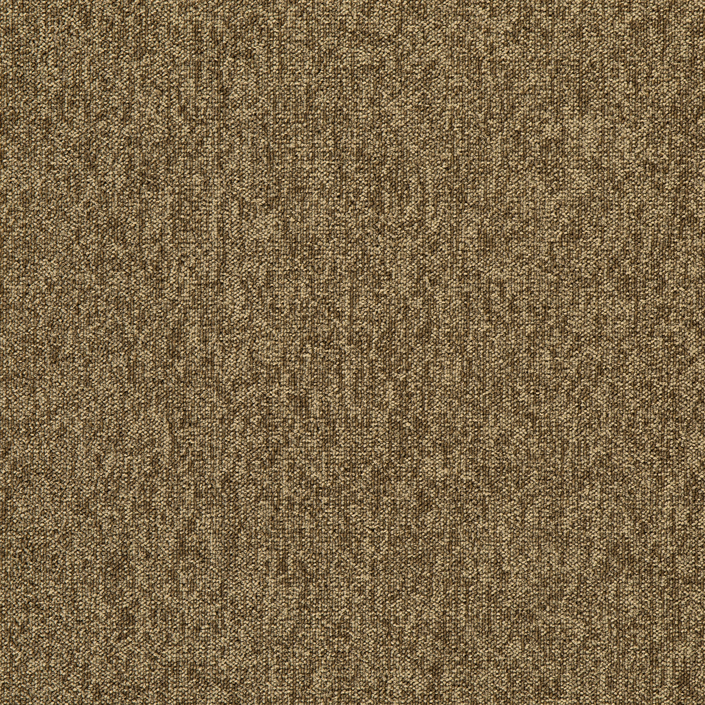 Brown09