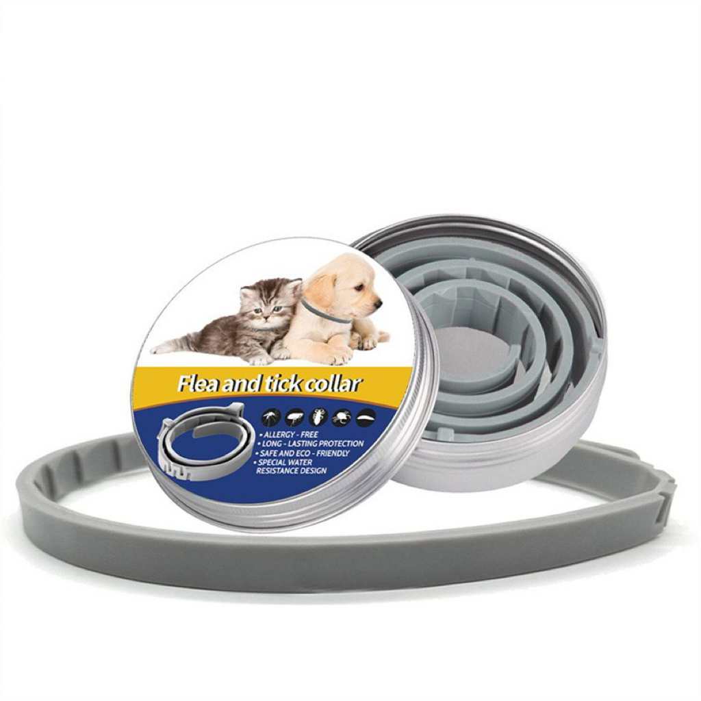 Collare antipulci e antizecche per cani e gatti 62 cm (Piccolo)