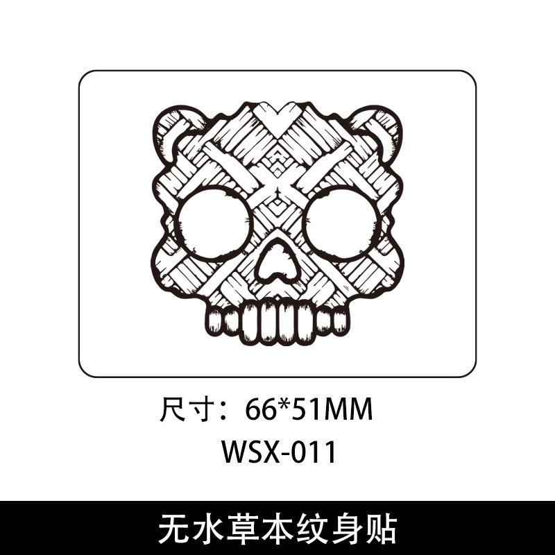 WS-011