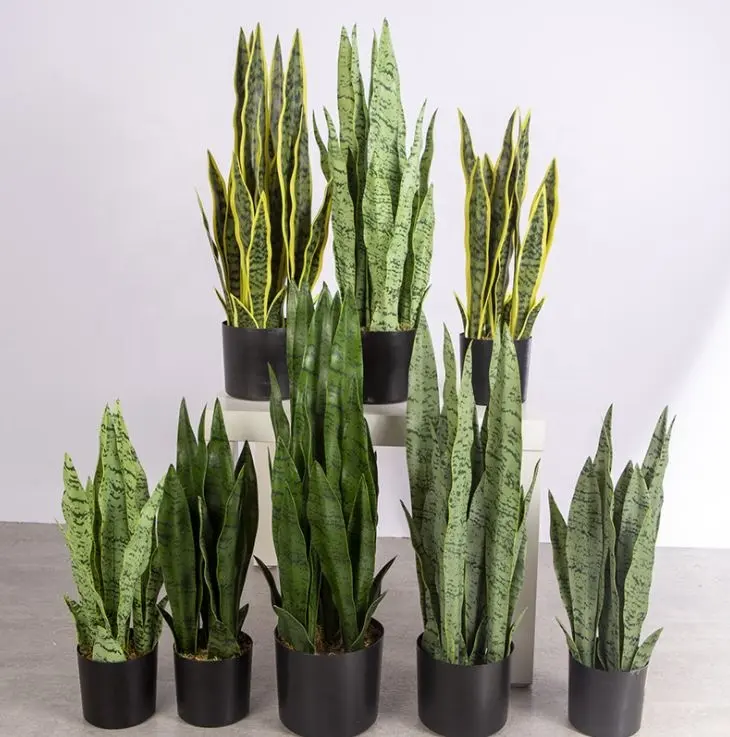 人工ヘビ植物ラテックスプラスチック盆栽シミュレーションヘビリュウゼツラン