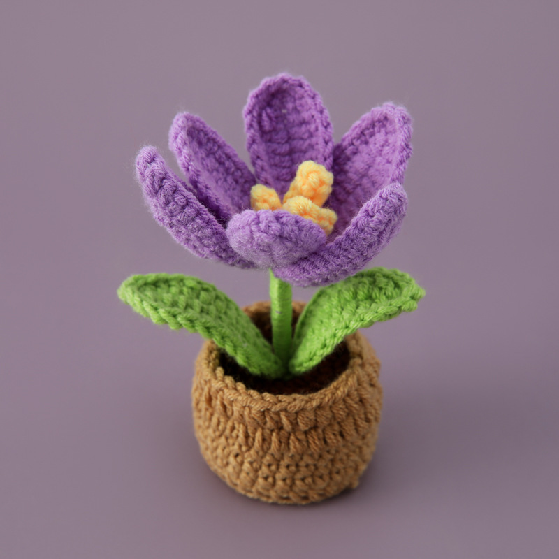 Pourpre