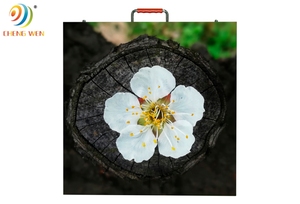 Schermo a led interattivo a colori P3.91 P4.81 P2.797 per 500 di concerti * 500 Display Video a LED - Product Image 3