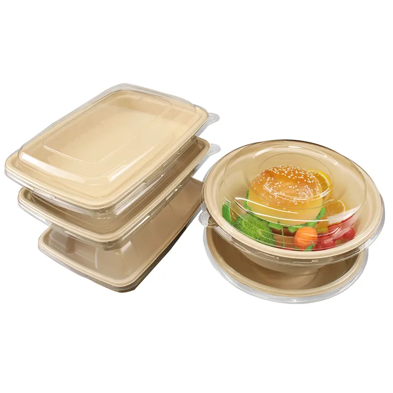 Biodegradable Bowl PFAS Free Disposable Sugarcane Bagasse Pulp 800ml Salad Food Bowl with Lid