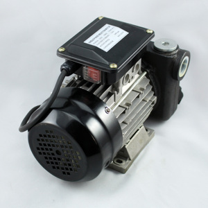 220V Big Flow Rate Diesel <strong>Pump</strong> Fuel Transfer <strong>Pump</strong> - Product Image 1