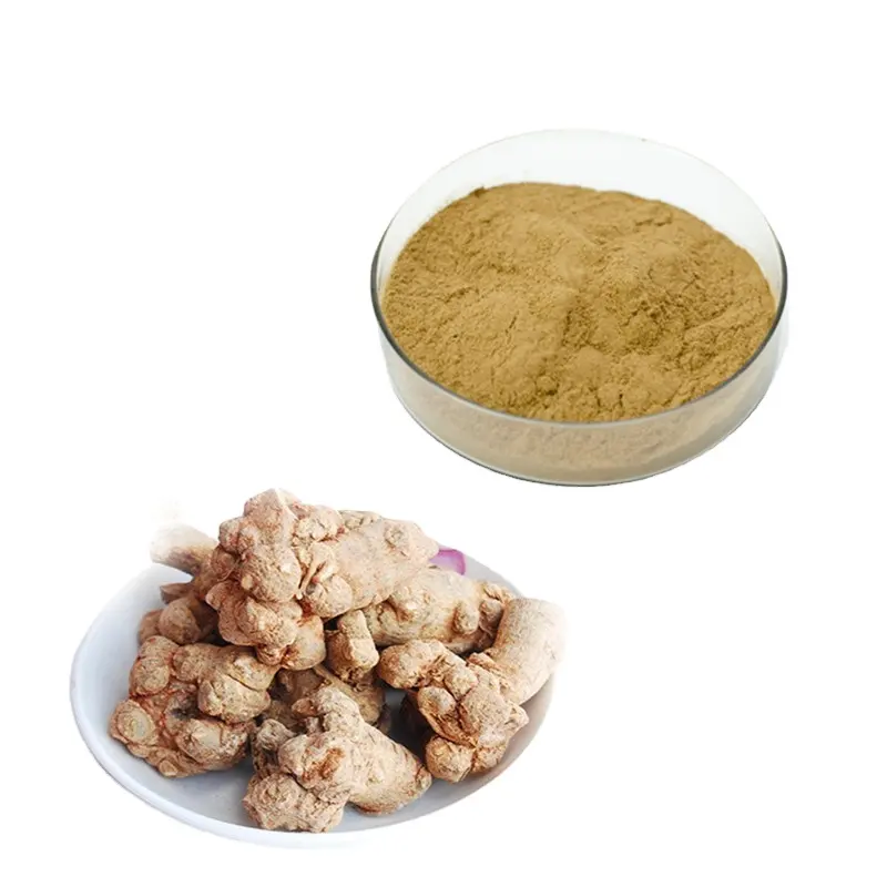 Estratto vegetale estratto di Sanchi Radix estratto di Notoginseng muslimin polvere