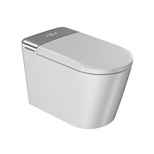 電気メッキシルバースマートトイレ (簡易版、水圧不要): 手動フリップ、停電フラッシュ - Product Image 1