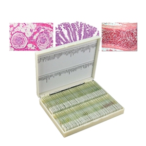 Factory Prepared Preparing <strong>Microscope</strong> <strong>Slides</strong> Biological Human Tissue Staining <strong>Microscope</strong> <strong>Slides</strong> Set for Medical Teaching - Product Image 2