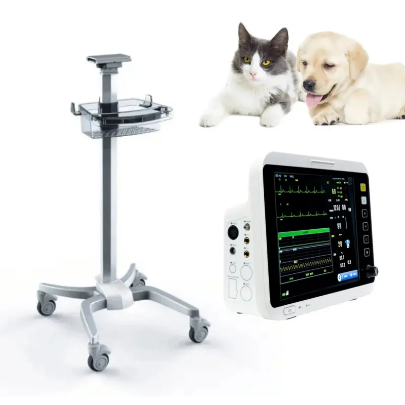 Equipo veterinario para hospitales, monitor de paciente de pantalla grande de 12,1 pulgadas para gatos y perros