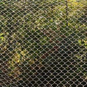 Eco-Friendly Stone Color Plastic Knitted Bird <strong>Net</strong> Mesh Bird Proof <strong>Net</strong> for Fruit Tree - Product Image 2