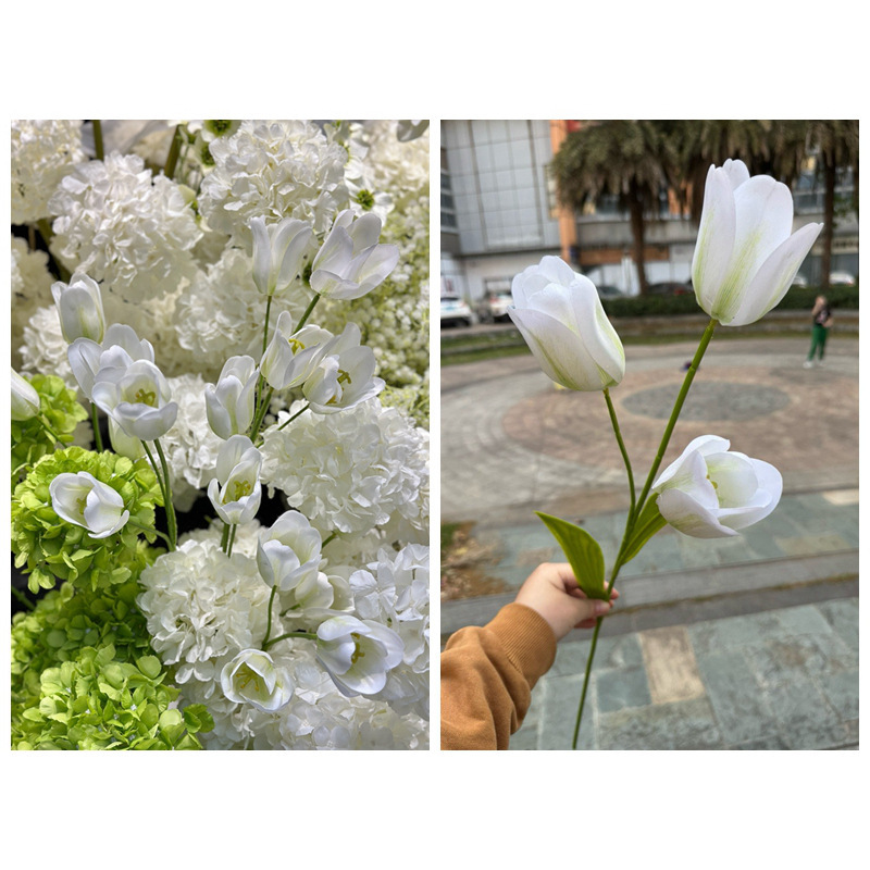 3 cabezas de tulipanes 3D blancos