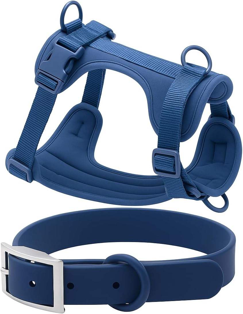 สีกรมท่า