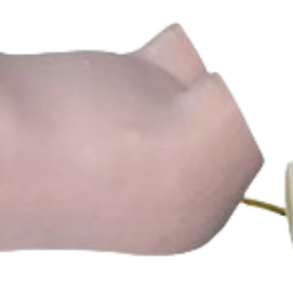 Simulador de auscultación y palpación abdominal automático ADA Medical (versión independiente) y varios simuladores de ordenador ECG - Product Image 5