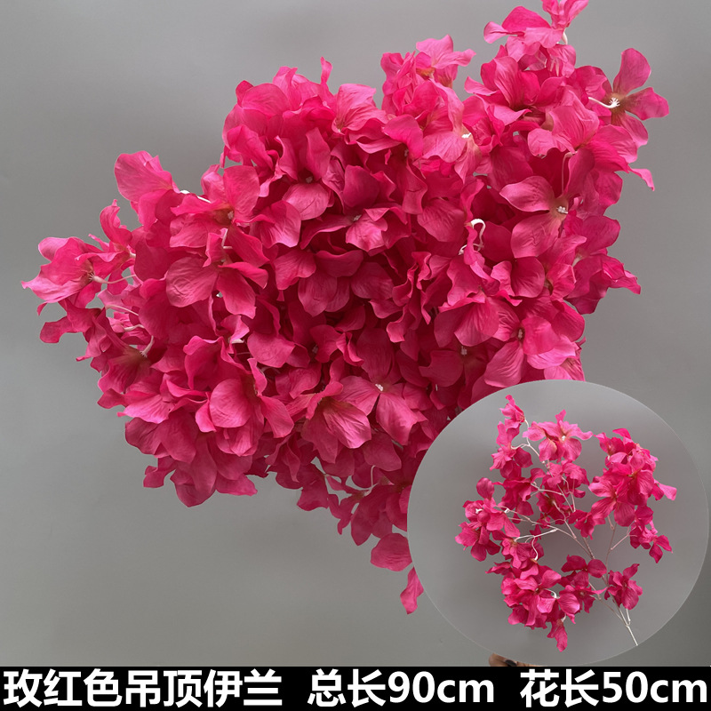 Techo rosa yilan