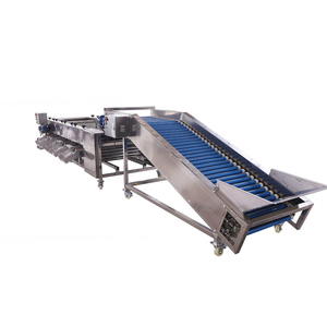 Máquina clasificadora de rodillos de frutas y verduras de raíz, máquina clasificadora de zanahorias y tomates, máquina clasificadora de pepino - Product Image 5