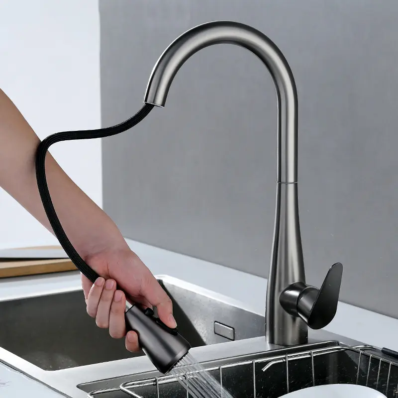 Nouveau Style moderne 304 robinets de cuisine en acier inoxydable extractible mélangeur de cuisine robinet d'évier robinets de cuisine avec pulvérisateur