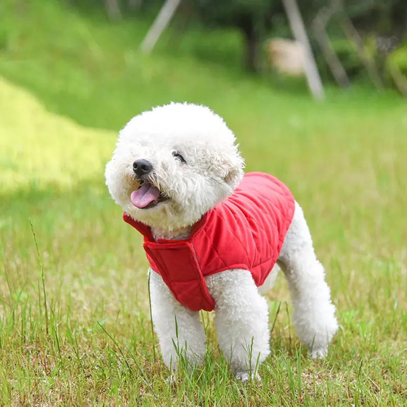 2024 vente chaude nouveau Design chien veste hiver col haut chaud chat chien manteau tissu pour animaux de compagnie