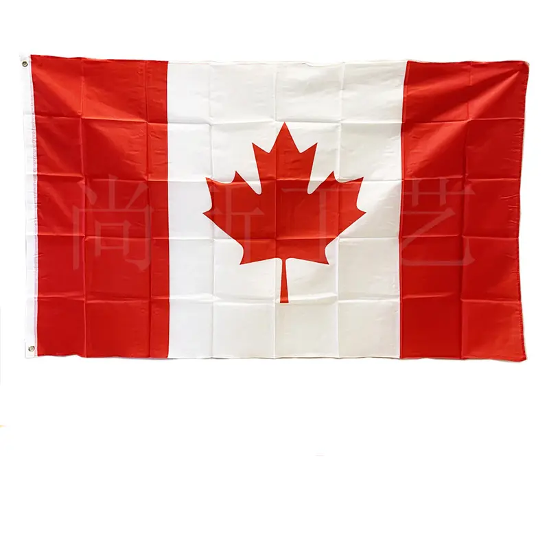 Offre Spéciale personnalisé en gros à bas prix deux boucle en laiton 3 * 5FT drapeaux bannières drapeau canadien pour les activités de plein air