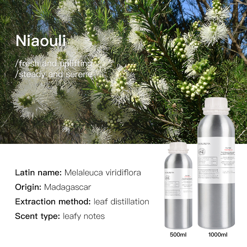 Niaouli (Madagascar)