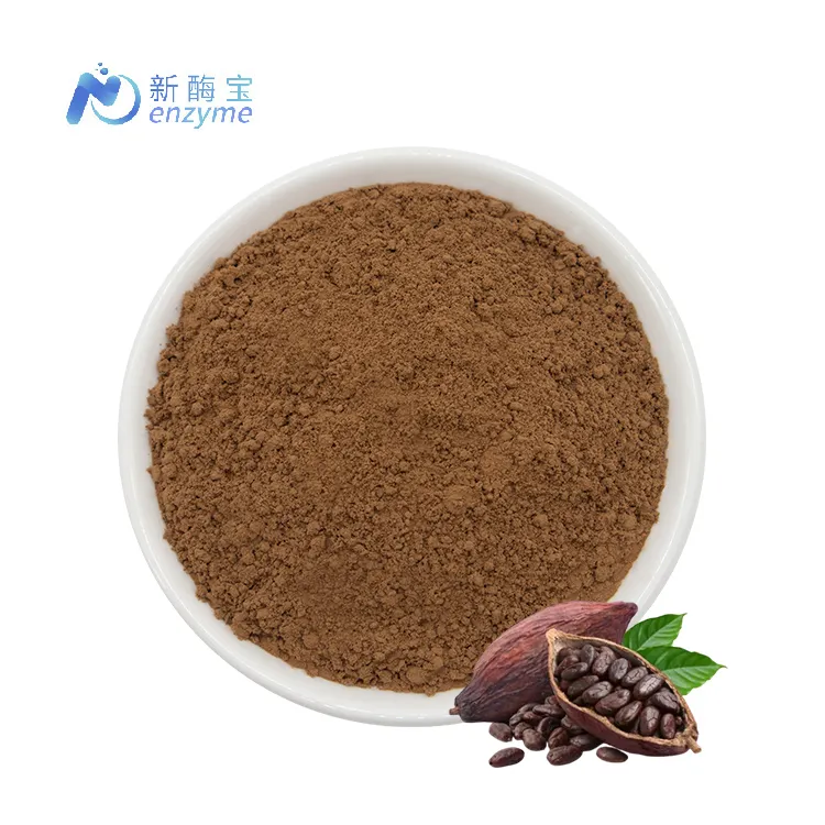 Novenzyme Wholesale Price Bulk 25kg Pure Natural Cocoa Powder Raw Cacao Powder