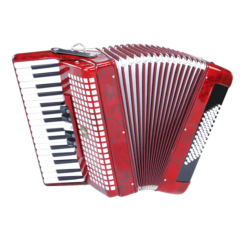 Marée musique piano type accordéon 34 touches aigus 5 commutateurs aigus 72 boutons graves