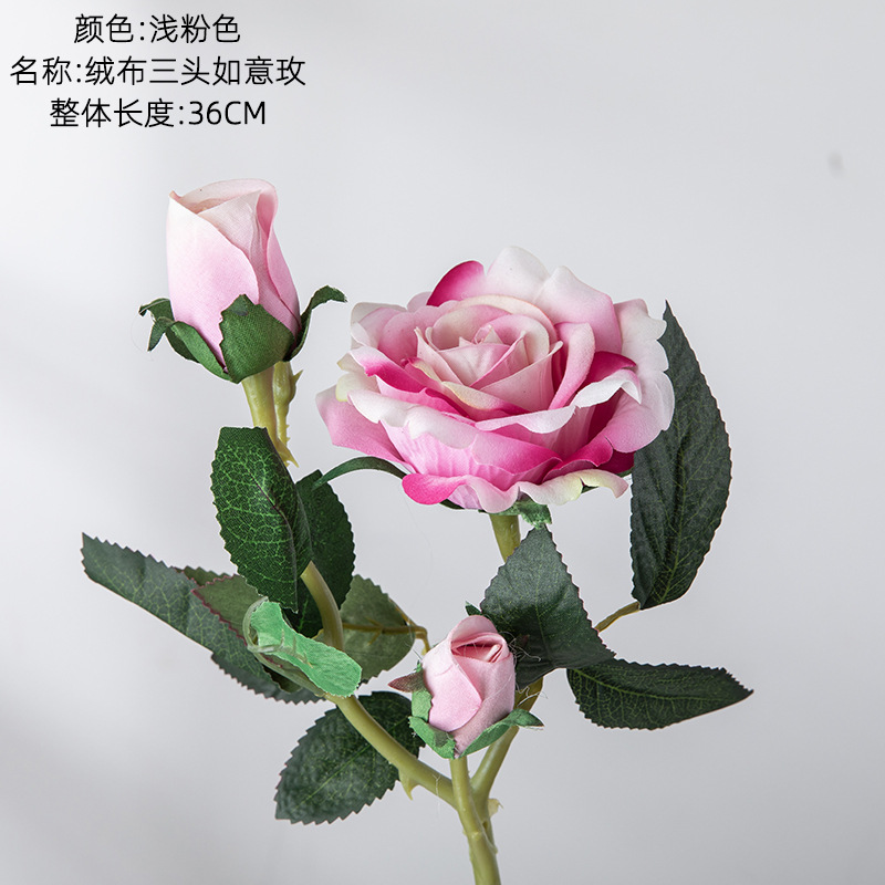 ชมพู 2