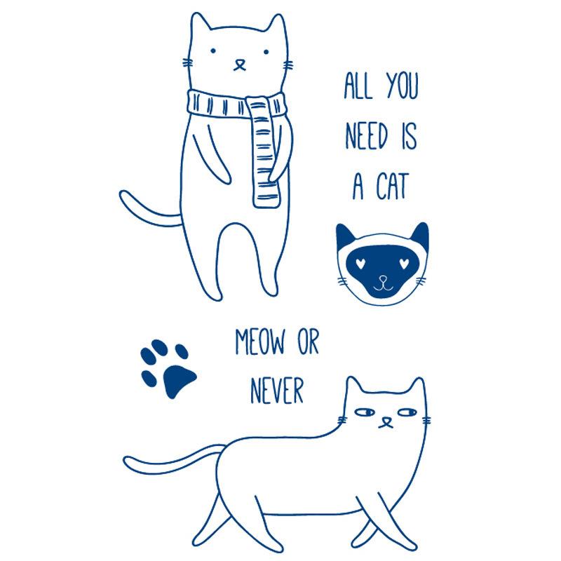 All You Need Is A Cat