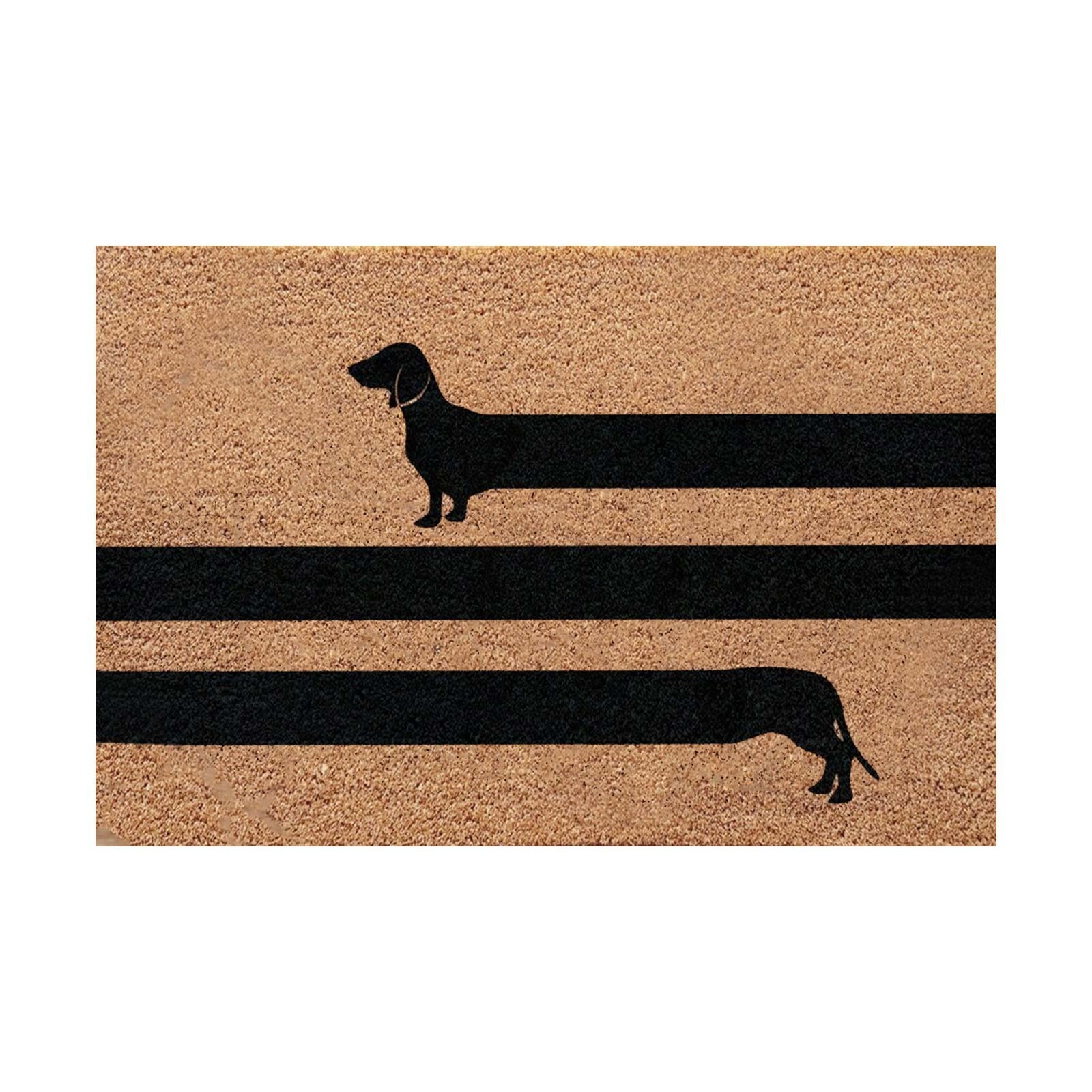 Kitten-1-Imitation Fibre de Coco